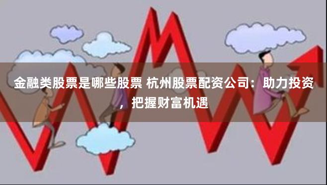 金融类股票是哪些股票 杭州股票配资公司：助力投资，把握财富机遇